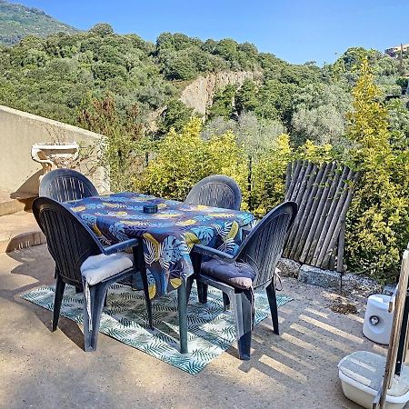 Grand Appartement Spacieux A 5 Min Du Centre Ville 阿雅克肖 外观 照片