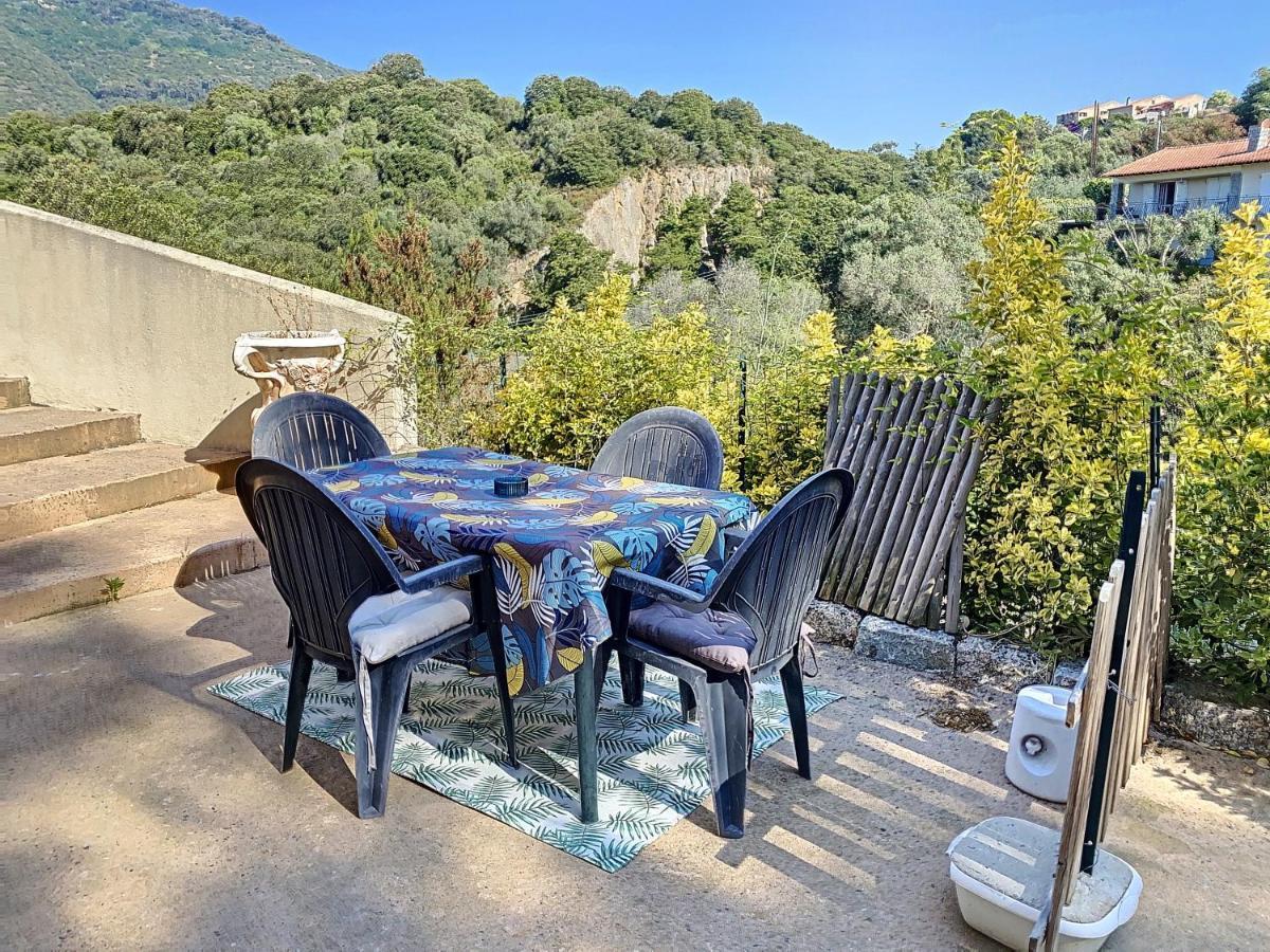 Grand Appartement Spacieux A 5 Min Du Centre Ville 阿雅克肖 外观 照片